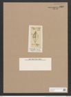 Navicula stokesiana O'Meara (de-Toni-Nr.: Genus 1, Species 669) Zeichnungen Sammlung Grunow Nr. 1262 (NHMW-BOT-W0367910)